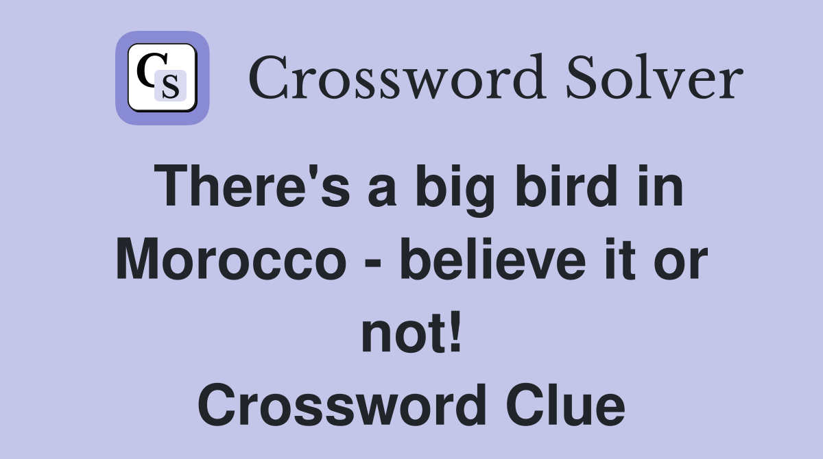 There s a big bird in Morocco believe it or not Crossword Clue